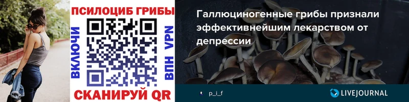 Галлюциногенные грибы прущие грибы  как найти   Аркадак 